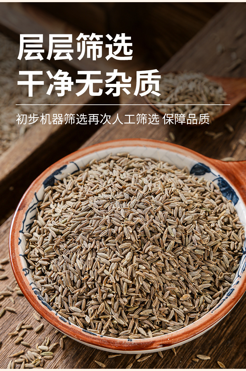 Cumin Seeds (Cuminum cyminum) — Dried Whole Spice for BBQ & Culinary Blends specifications