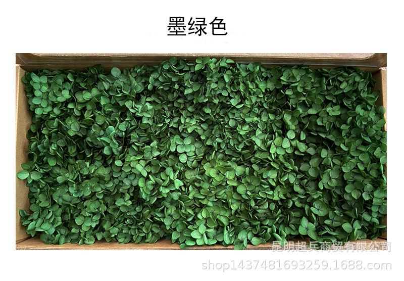 O1CN01FWUrJr1gVpb2q74yN_!!2588