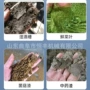 化工高湿粘性药渣粉碎机