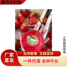 ��피tϞ���M����������ϞϞ��Y�и��\��Ƭ�Ӹ��҃��bo��ˮ��