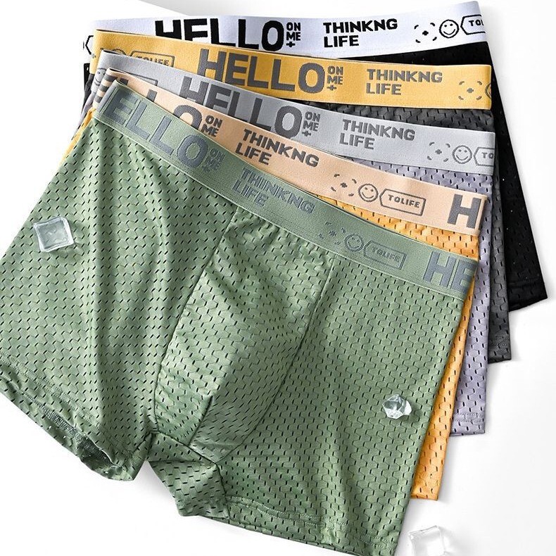 New Summer Ice Silk Mesh Men's Underwear Mesh Men's Sexy Underwear Breathable Mesh Boxer Youth Fish Net