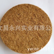 �؉| ��ˮϴ �����B�C���C����ݸC�����؉|��ů����21cm