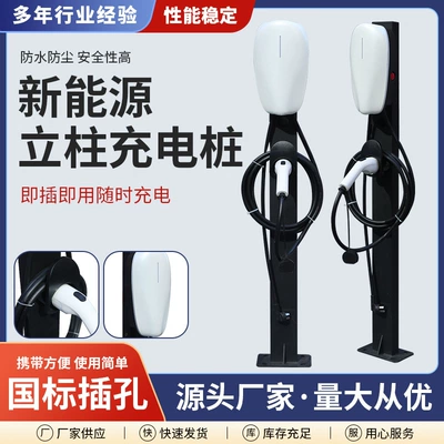 New energy charging pile household 7KW32A Tesla BYD electric car universal charging gun charger (Elektrikli avtomobil şarj cihazları)