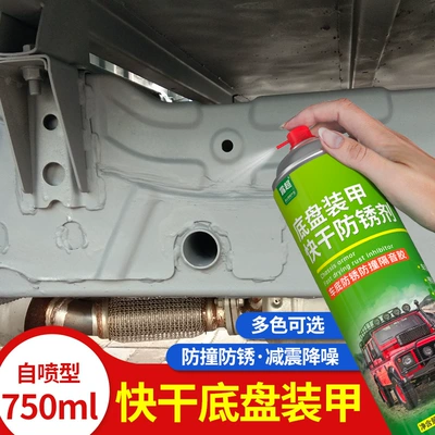 Paint Rust-Proof – Qìchē Other car care/additives