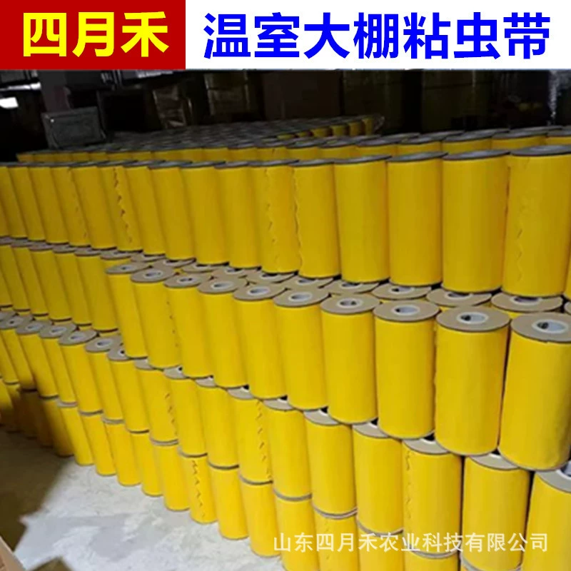 Трансграничная внешняя торговля Двусторонняя липкая червь с ловушкой с садовым садом Трипс желтая синяя древесная лента против насекомых