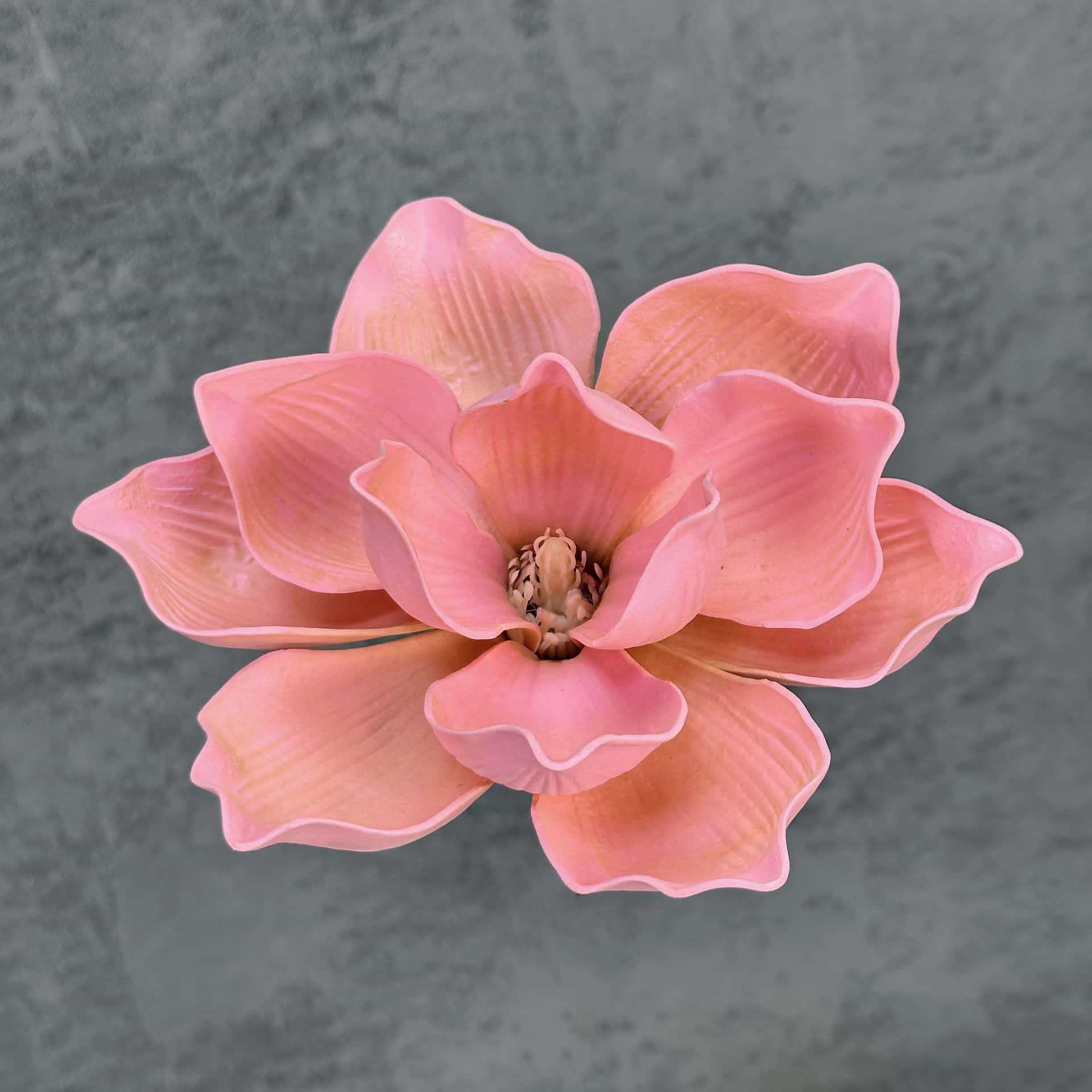 Flor de simulación transfronteriza EVA cabeza de magnolia 13cm tacto tocado kapok decoración decoración decoración flor falsa al por mayor