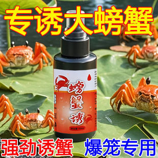 �T�з�����з�D����з�з��з��з����з���ñ��\�T�D�CСș