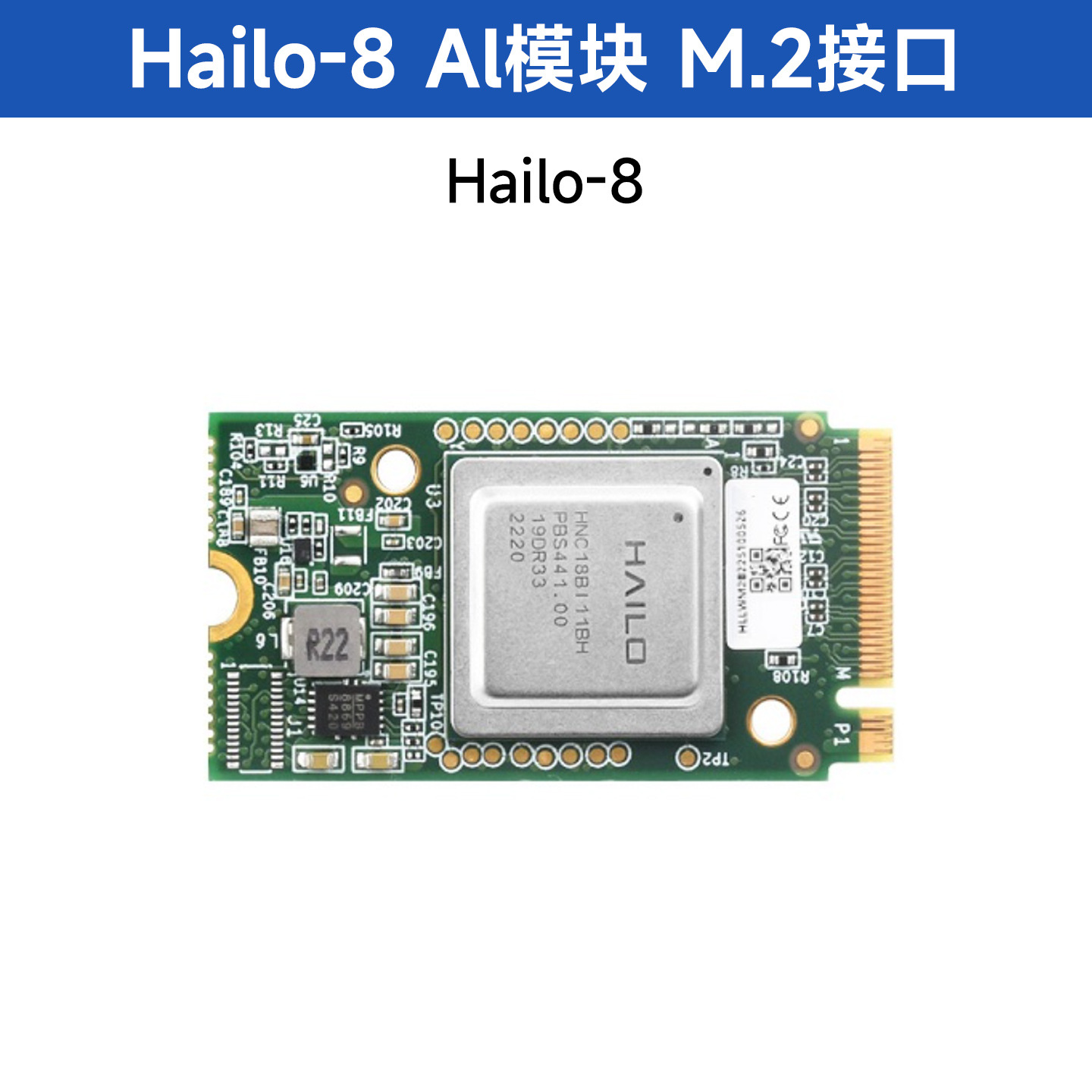 Hailo-8