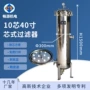 固液精密多芯304过滤器
