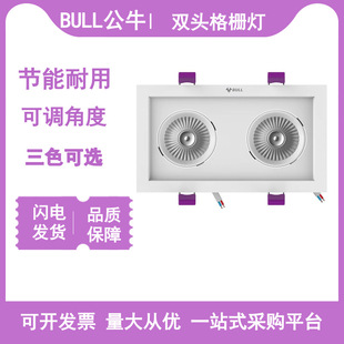 Bull Led Grid Light Single/Double Head Rectangular Downlight Grid Ceiling Light for Home and Commercial Use
