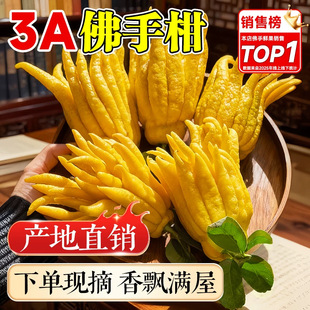 ��Ȼ��޹���ָ��r�����r���ֹϔ[���幩�^�p���ʳ�û�������