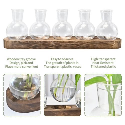 Circular Acrylic Planter with Water Cultivation Green Plant Office Living Room Decor Wooden Base Transparent Plant Pot Ornament