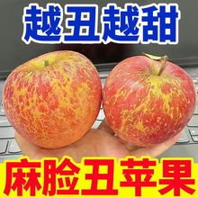 麻脸爆甜丑苹果新鲜水果红富士冰糖心大果脆甜应季批发整箱厂批发