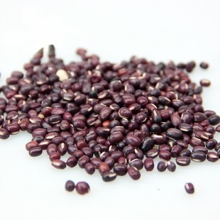 �͜غ決��t�� 5��/��  ���ĥ��ԭ��