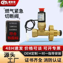 有线钢瓶机械手煤气报警器切断阀液化气燃气泄露自动切断气安全阀