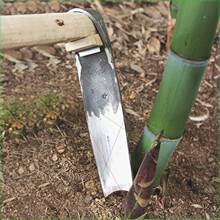 �P���ڹS�ٵ��z�^����怼Ӻ����i䓘䘶�z�^�r��呴򶬹S������