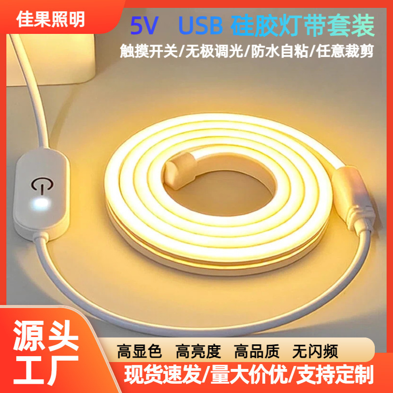 Cross-Border Led Low-Voltage Light Strip Touch Switch Flexible Neon Light Strip Set with Switch Usb5V Silicone Light Strip