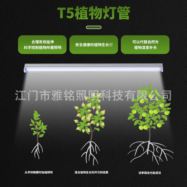 LED plant lamp
