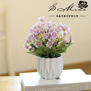 �ٻ�ӭ������С�辰����r�Д[�����滨�x���S��ֱ���������ԾGֲ