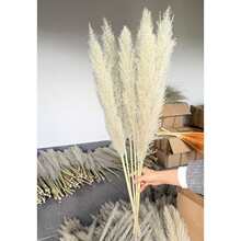 ���JȔ��Ȕ��Ȼ���ə�������ܛ�bչ�d���ò廨���ոɻ���������