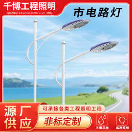 LED市电路灯户外市政道路照明高杆灯5米超亮高杆双头单臂市电路灯
