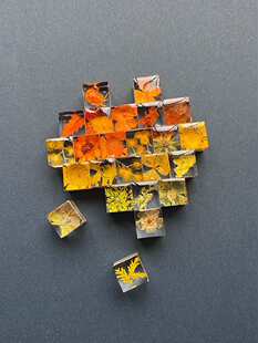 �ֹ����zֲ�﷽�K��Ʒ���w�˱��������[�������ѶY��