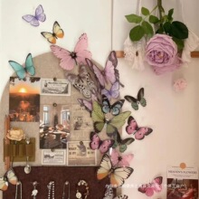 2025�¿�����ҕ��נ��b�3d���w�������������˹�������Ƭ