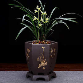 思捷紫砂兰花盆陶瓷六方透气绿萝室内家用盆景大花盆