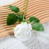 White (small velvet)