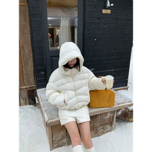 څ��DT ETOLIE��ܽ��90�����q�̿���q��Ů�����Ӻ���K�Bñ����