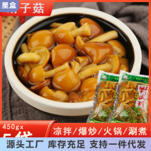 450g×5ӹ|خa 鹽ĢrbĢ