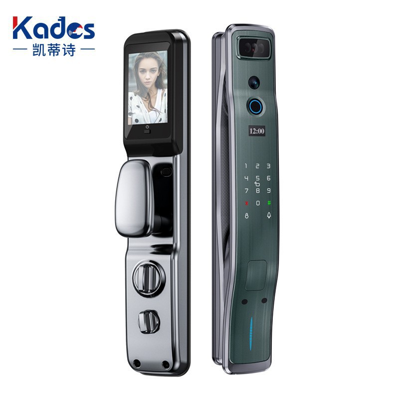 Face fingerprint lock WIFI networking door lock