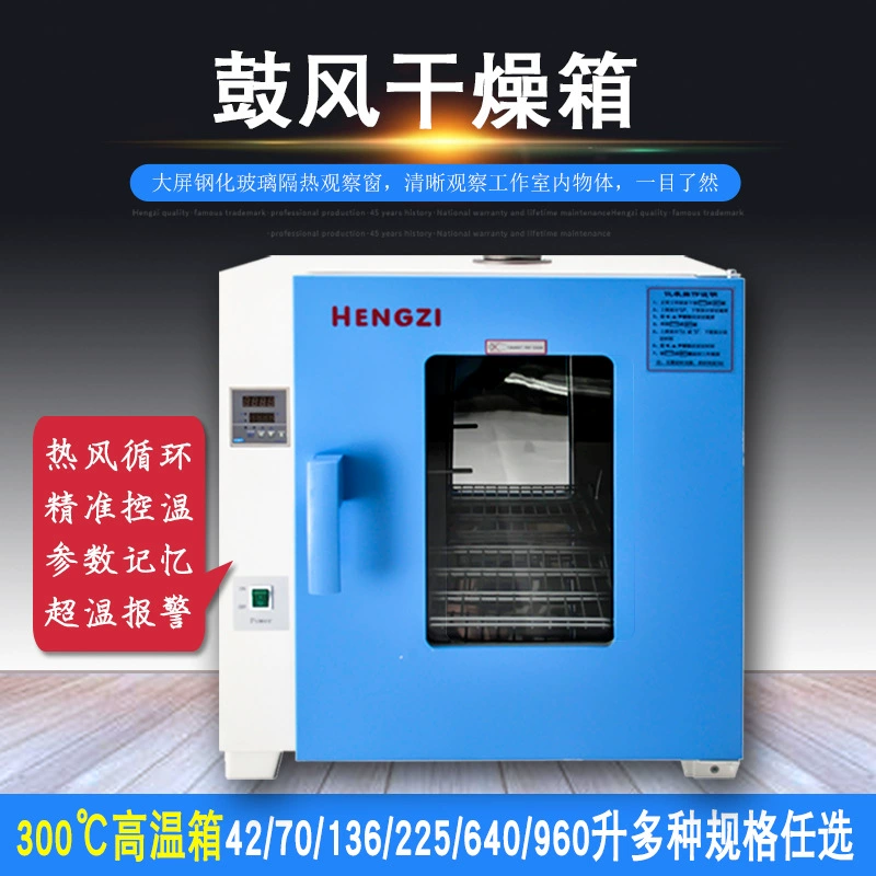 Сушильная печь доменной сушки марки Yuejin Constant HGZF-II/H-101-2 Сушильная печь с принудительной конвекцией и циркуляцией горячего воздуха