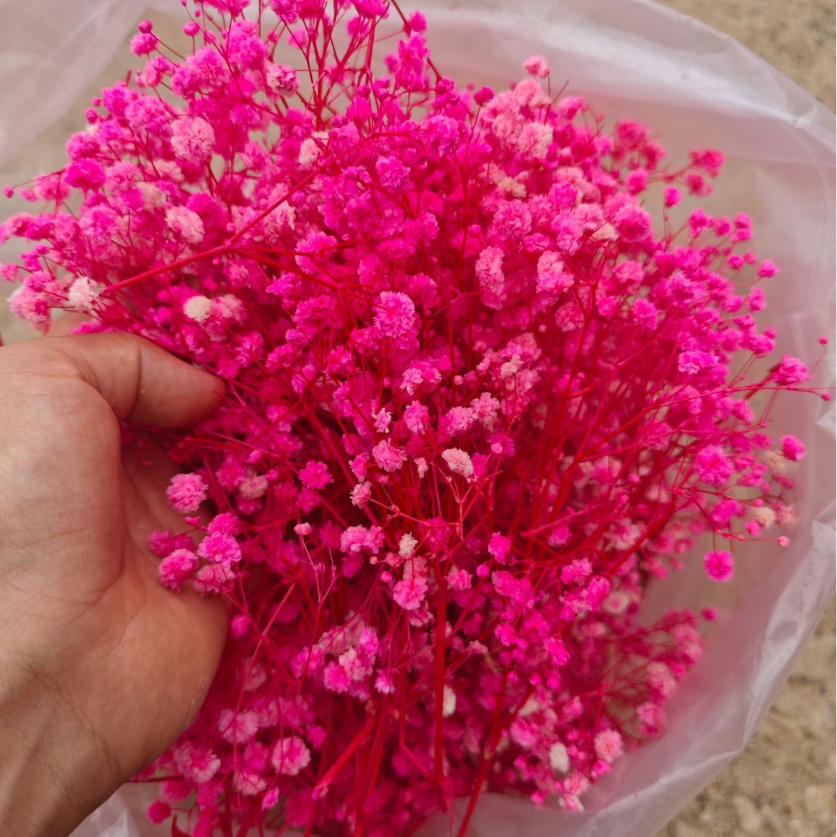 (2-10)cm 핑크색 짧은 꽃머리 500g