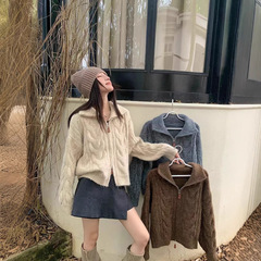 韓国スタイルラペルツイストダブルジッパー厚手のセーターカーディガン女性のための 2025 新しいスタンドカラー暖かいセータージャケットトップ