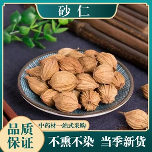 [香砂仁砂果头中药材 新货 散装批发零售 品种全量大从优]