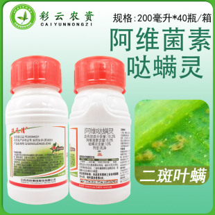 �˄ٝMԪ��10.2%���S�}�\�`�t֩�뚢�\�����S���ض����~�\���x��