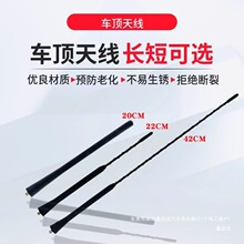 �m��춸��ؽ��丣��˹ ���� ���� �����A ���˹���쾀���b