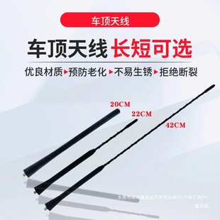 �m��춸��ؽ��丣��˹ ���� ���� �����A ���˹���쾀���b