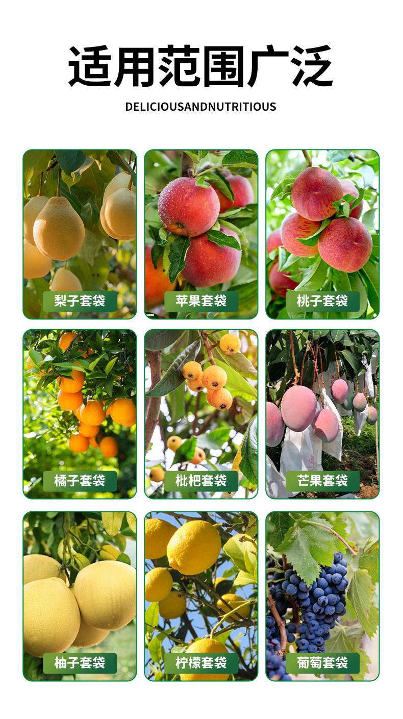 详情2_10