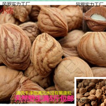 桃核雕刻料创意深浅龙纹山桃11-20mm原籽佛念珠练习胡桃原料按斤