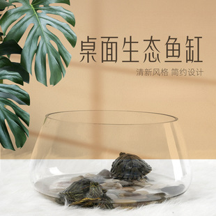 New Fish Tank Glass Round Desk Pothos Hydroponic Household Small Fish Creative Transparent Small Mini Table