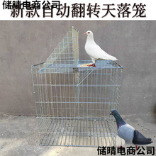 2025�¿�����\�Ԅӷ��D���D���ӻ\��\���P�Ӵּ���ײ�T�����B�\