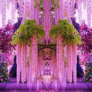 ���ٻ���������ֲ���̨ͥԺ�����_�����ԾGֲ������Ԯ�����}�L�