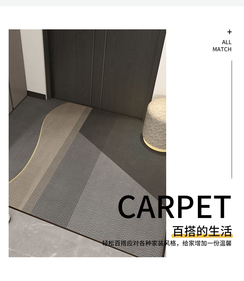 高级感入户门地垫进门脚垫子入户地毯轻奢大门口家用入门防滑门垫-阿里巴巴