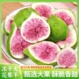 威海特产烘焙散装水果茶