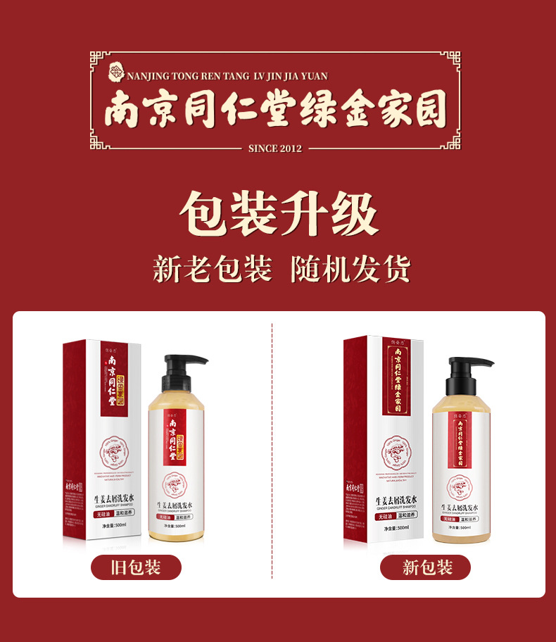 Chu Yan Ginger Shampoo Anti-Dandruff Care for Hair Growth and Thick Hair Strengthening Ginger Hair Conditioning Shampoo Wholesale