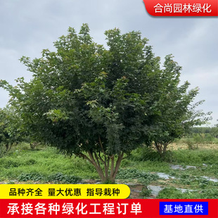 ����Ԫ�����a�����l����Ԫ����������ʽ�@�����͘�Ԫ�������^���