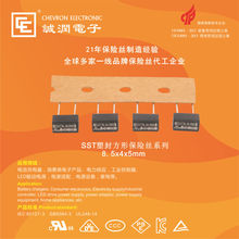 SST 矮方形塑封保险丝