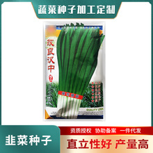 98-4改良平韭4号不休眠韭菜种子耐寒产量高叶片肥厚速生韭菜种籽